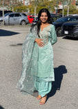 Organza Salwar Suit