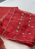 Red Shimmer Unstitched Suit