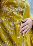 Stylish Sharara Suit