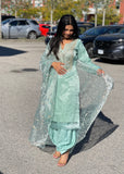 Organza Salwar Suit