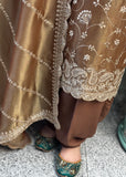 Brown Pure Tissue Salwar Suit