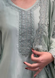 Sage Green Streight Salwar Suit