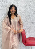 Farshi Salwar Suit