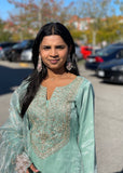 Organza Salwar Suit