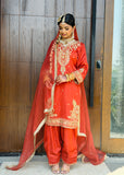 Party Wear Farshi Salwar Suit