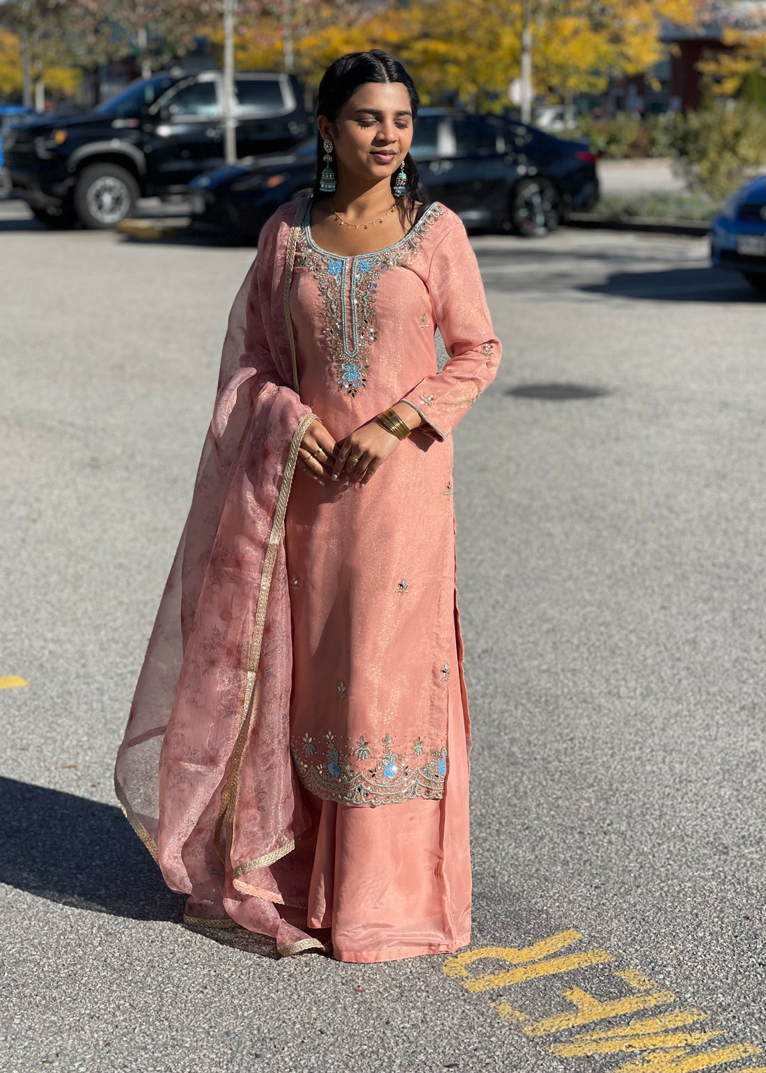 Blush Pink & Powder Blue Handcrafted Suit