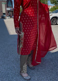Red Gold Truouser Suit