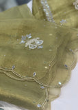 Green- Glass Tissue Unstitched Suit
