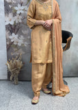 Pakistani Salwar suit