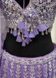 Full embroidered Purple Lehnga