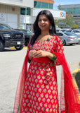 Cotton Printed Plazzo