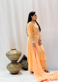 Georgette Plazzo Suit