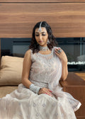 Net embroidered Lehnga